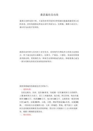 桑葚栽培及功效