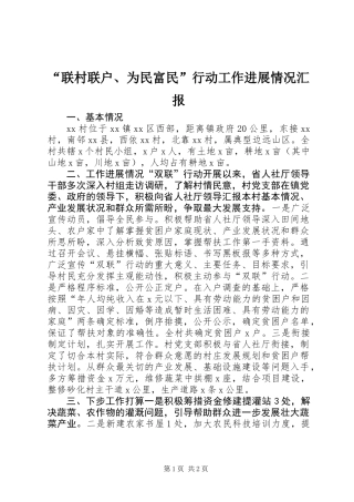 “联村联户、为民富民”行动工作进展情况汇报