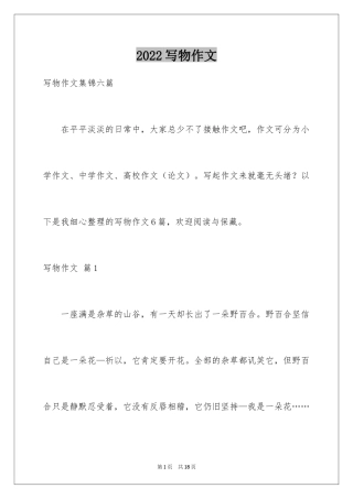 2024写物作文_211