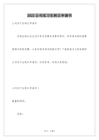 2024公司实习生转正申请书