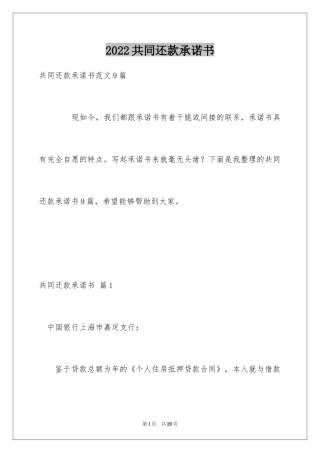 2024共同还款承诺书_15