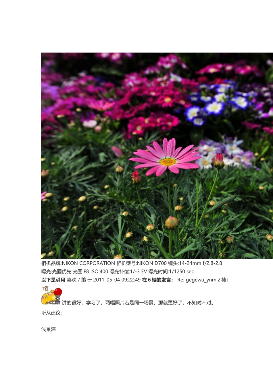 如何拍出清淅的照片_第3页