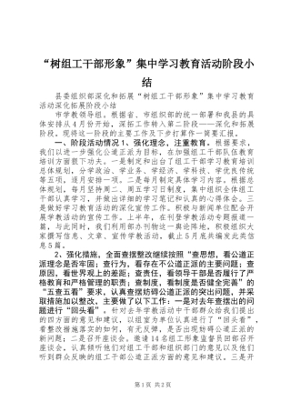 “树组工干部形象”集中学习教育活动阶段小结