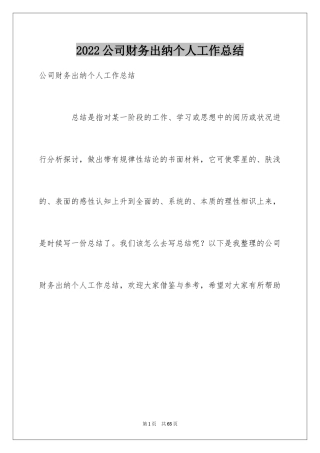 2024公司财务出纳个人工作总结_3