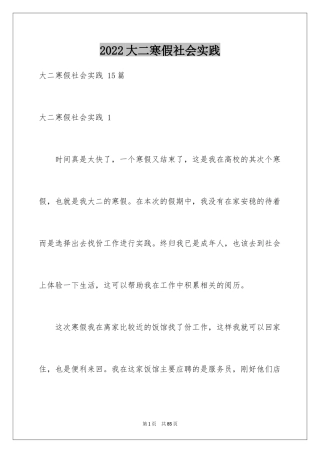 2024大二寒假社会实践 