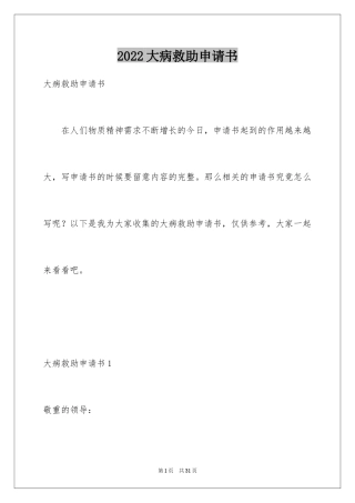 2024大病救助申请书_31