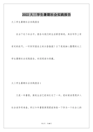 2024大三学生暑期社会实践报告_1