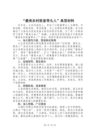 “最美农村致富带头人”典型材料