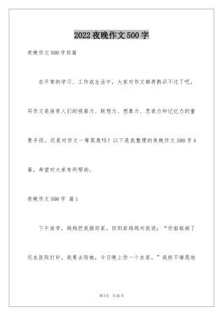 2024夜晚作文500字_1