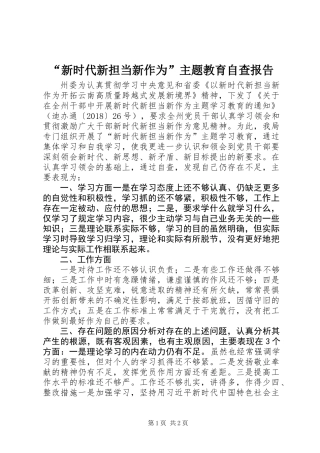 “新时代新担当新作为”主题教育自查报告