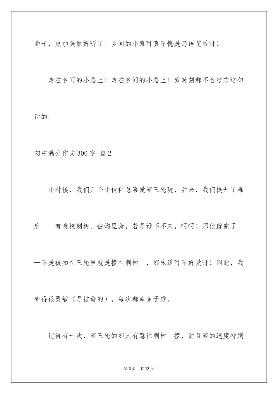 2024初中满分作文300字_3_第3页