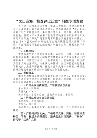 “文山会海、检查评比泛滥”问题专项方案
