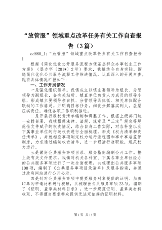 “放管服”领域重点改革任务有关工作自查报告（3篇） (2)