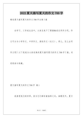 2024夏天描写夏天的作文700字