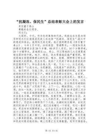 “抗凝冻、保民生”总结表彰大会上的发言
