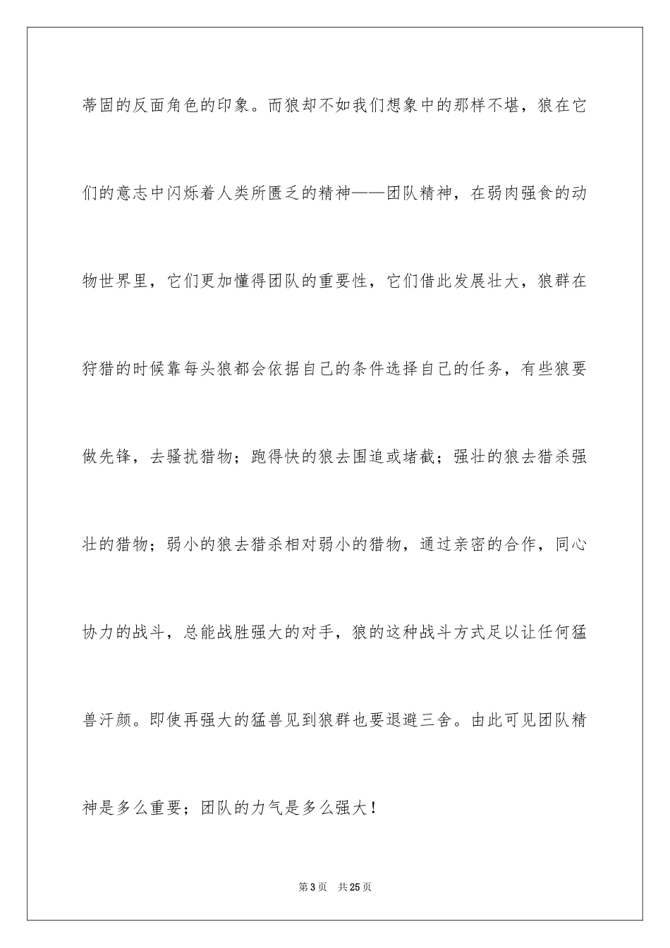 2024团队的演讲稿_8_第3页