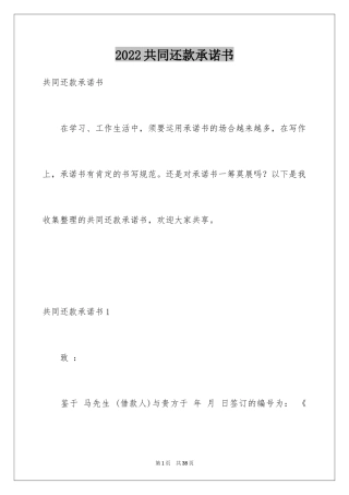 2024共同还款承诺书_33