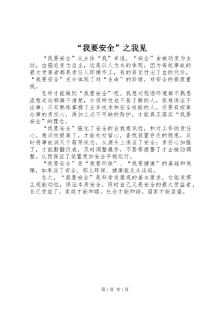 “我要安全”之我见