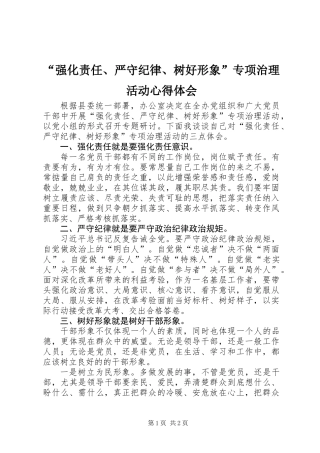 “强化责任、严守纪律、树好形象”专项治理活动心得体会