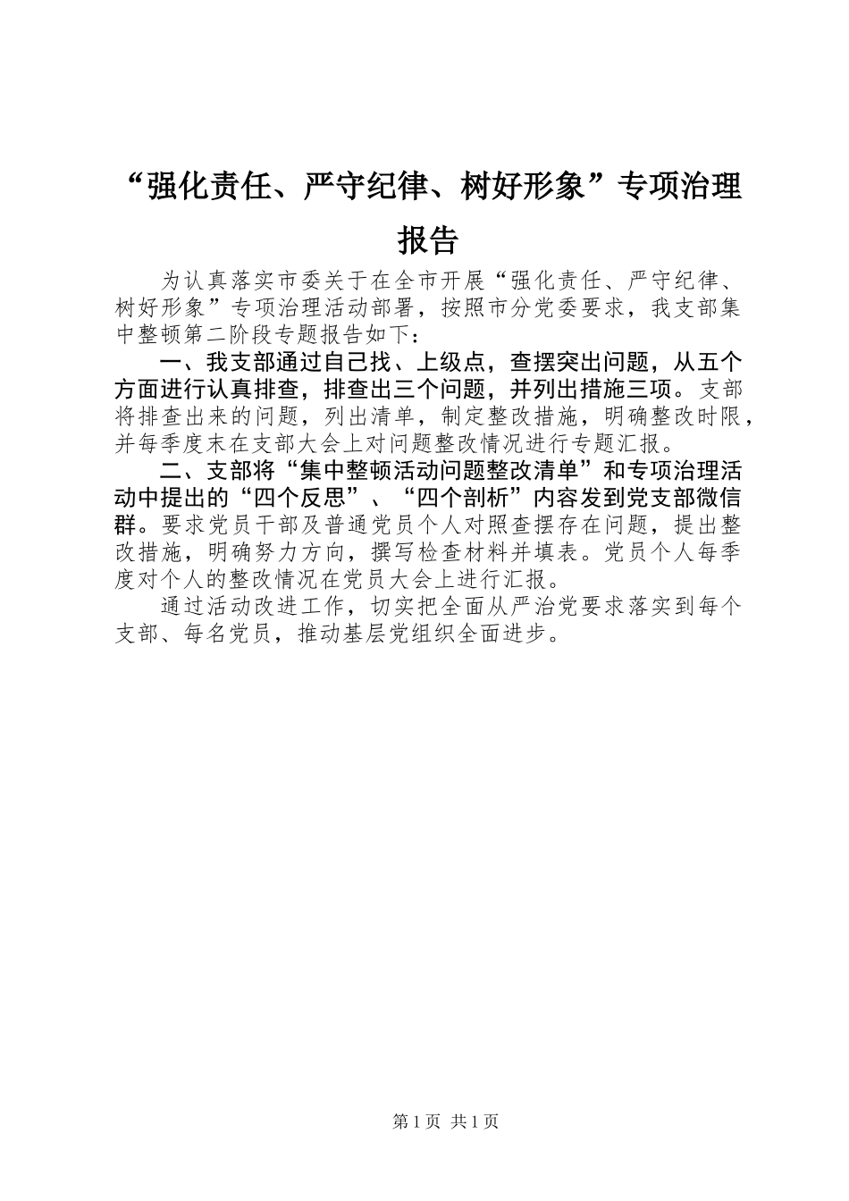 “强化责任、严守纪律、树好形象”专项治理报告_第1页