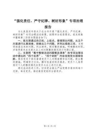 “强化责任、严守纪律、树好形象”专项治理报告
