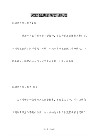2024出纳顶岗实习报告_7