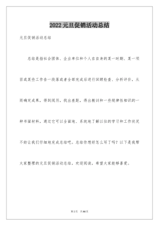 2024元旦促销活动总结_1