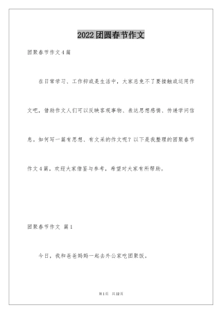 2024团圆春节作文