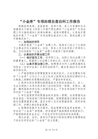 “小金库”专项治理自查自纠工作报告 (2)