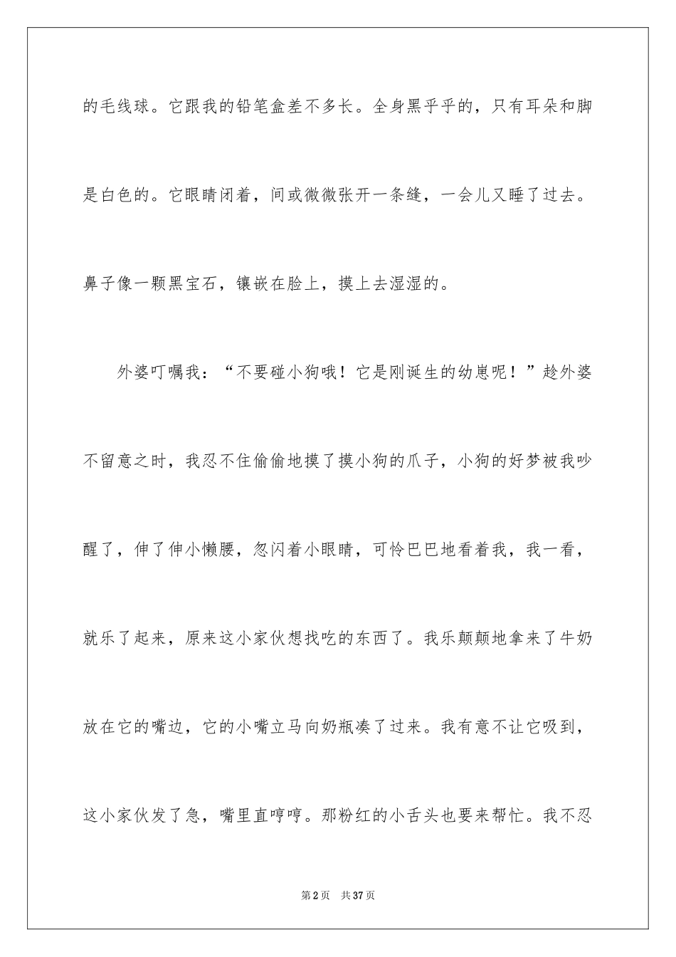 2024可爱的小狗的作文_2_第2页