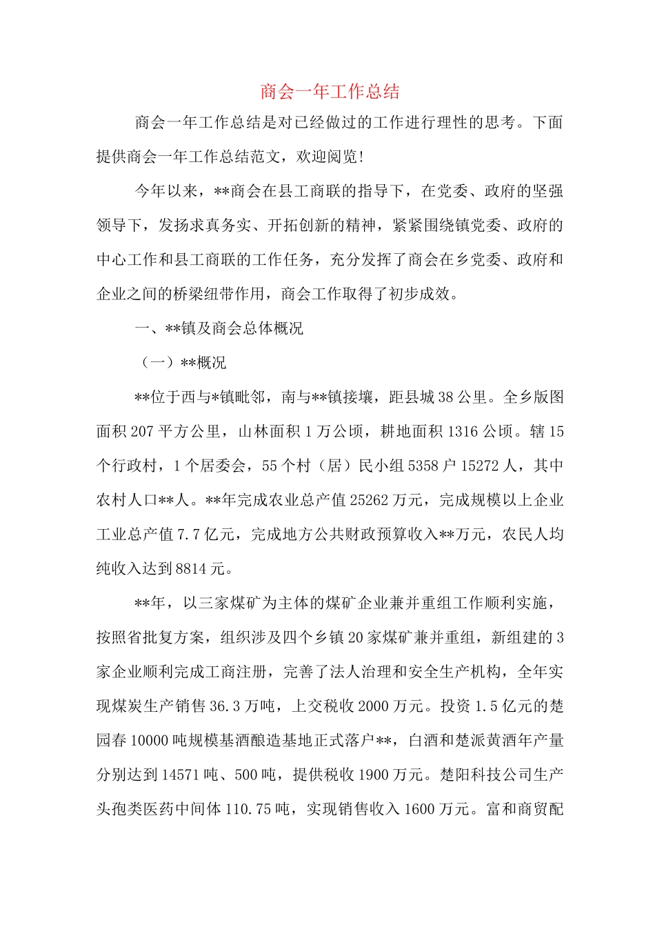 商会一年工作总结_第1页