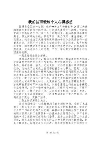 我的挂职锻炼个人心得感想