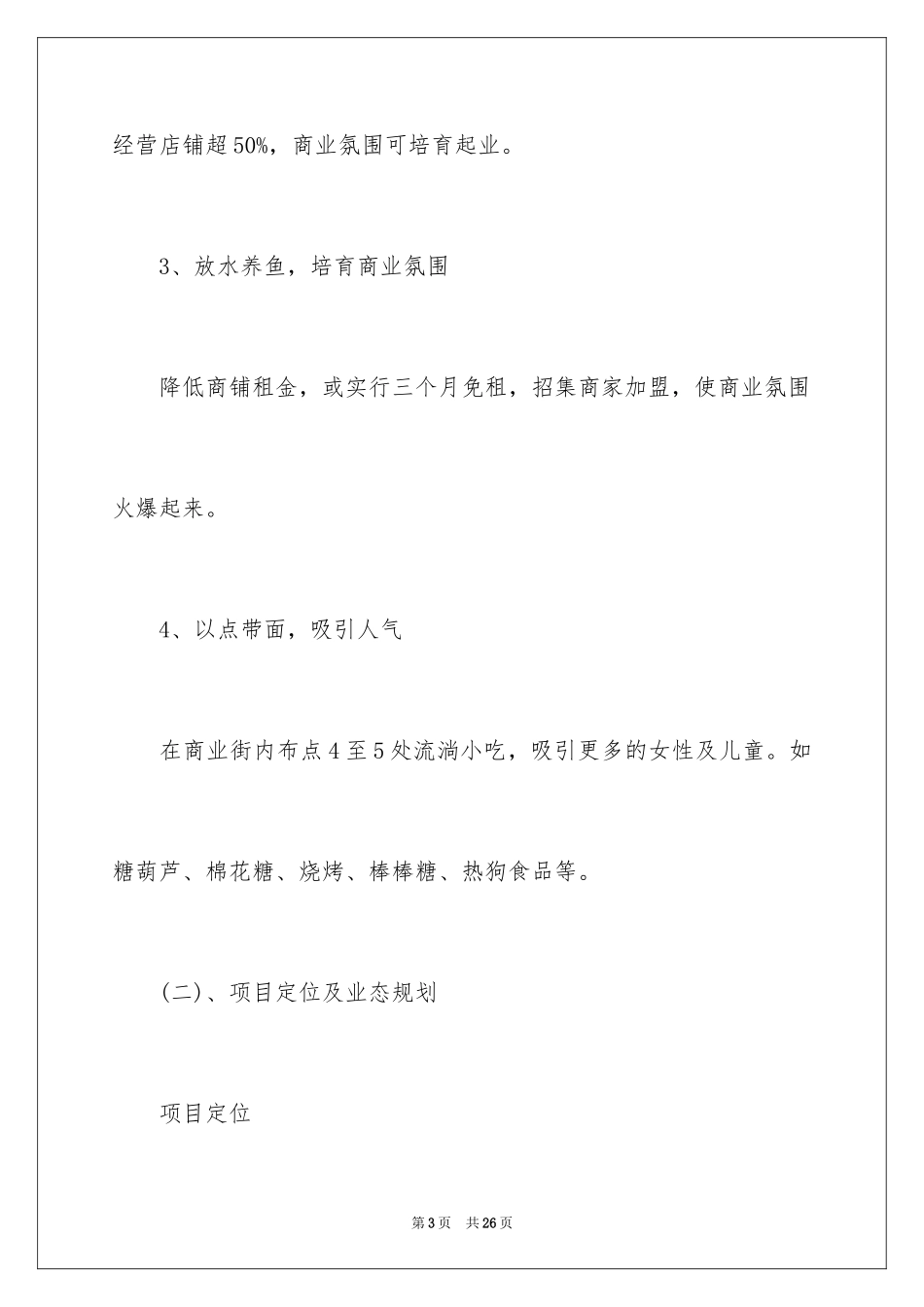 2024商业街策划案_第3页