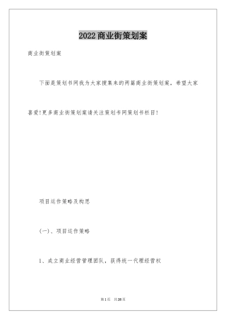 2024商业街策划案