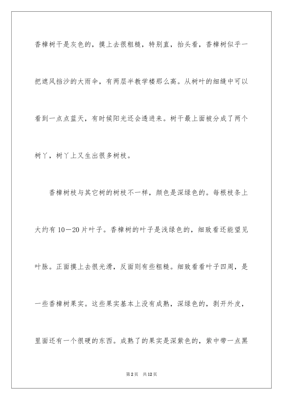 2024写香樟树作文_3_第2页