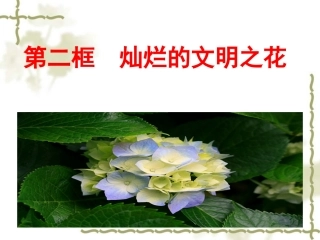 灿烂的文明之花 (2)