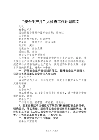 “安全生产月”大检查工作计划范文