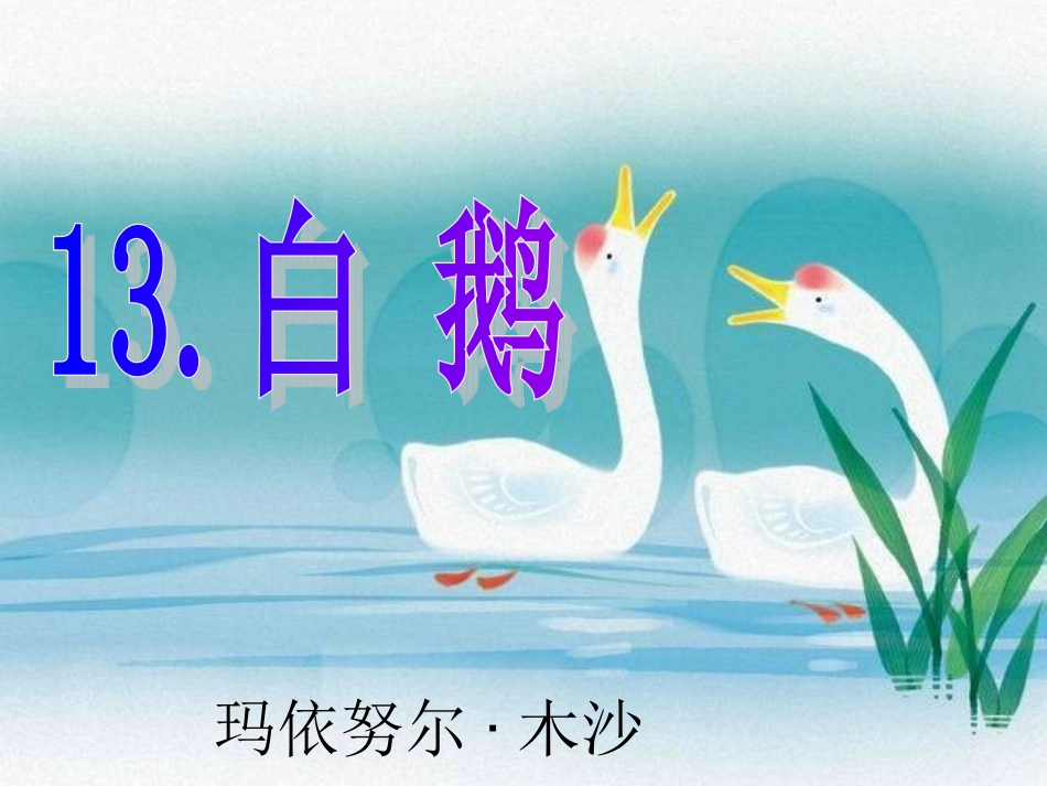 白鹅PPT课件_第1页