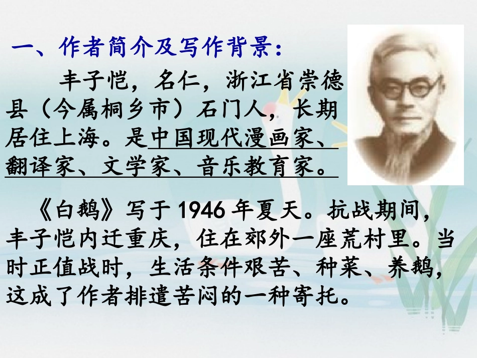 白鹅PPT课件_第2页