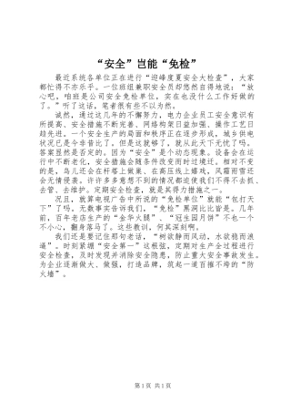 “安全”岂能“免检”