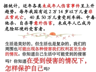 我们受法律特殊保护课件