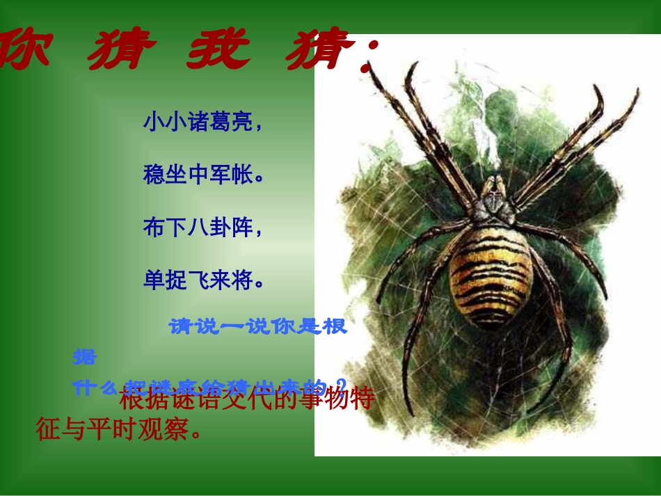 绿色蝈蝈(精美版)_第2页