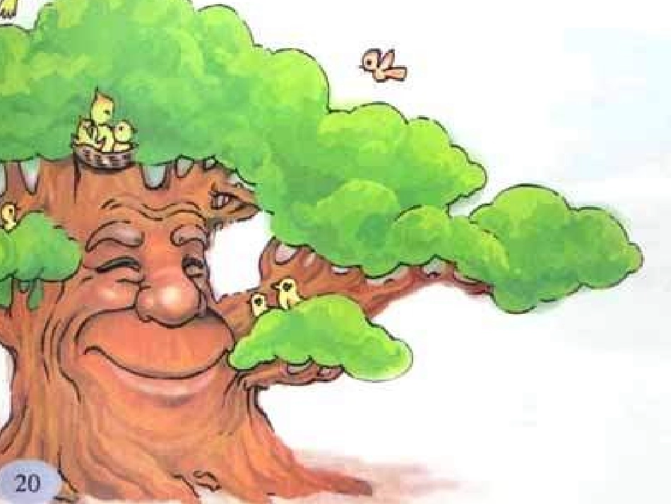 《老树的故事》课件_第2页
