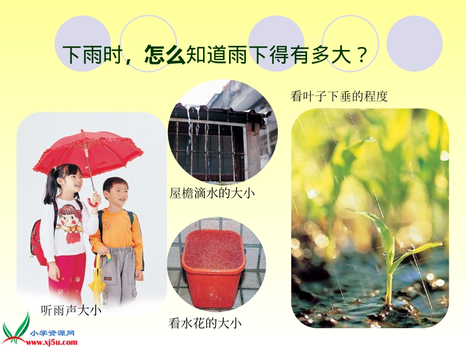 《雨下得有多大》PPT课件3_第2页