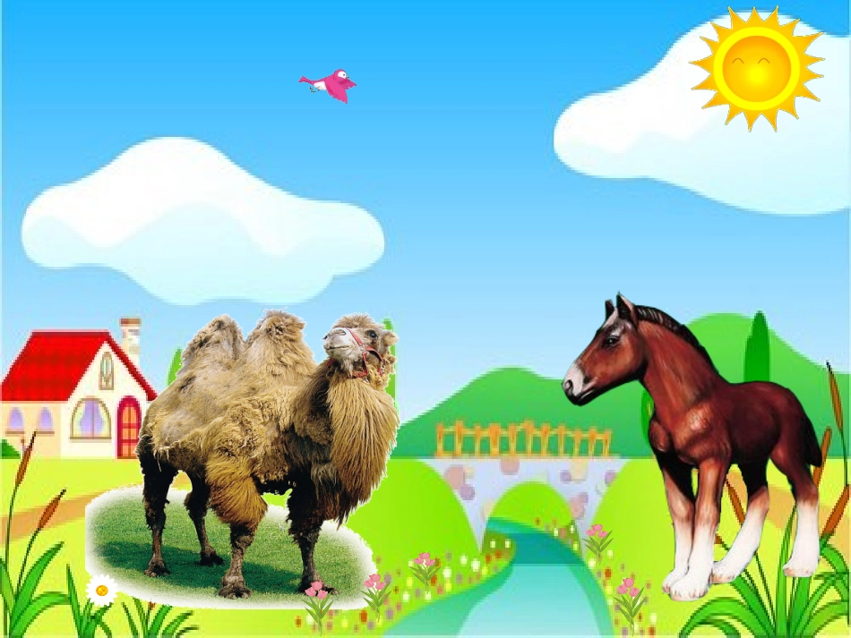 我应该感到自豪才对_第2页