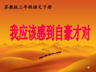 我应该感到自豪才对