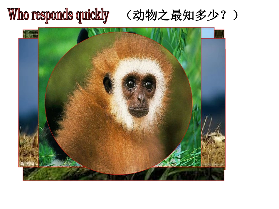 外研七年级上m6u2_第2页