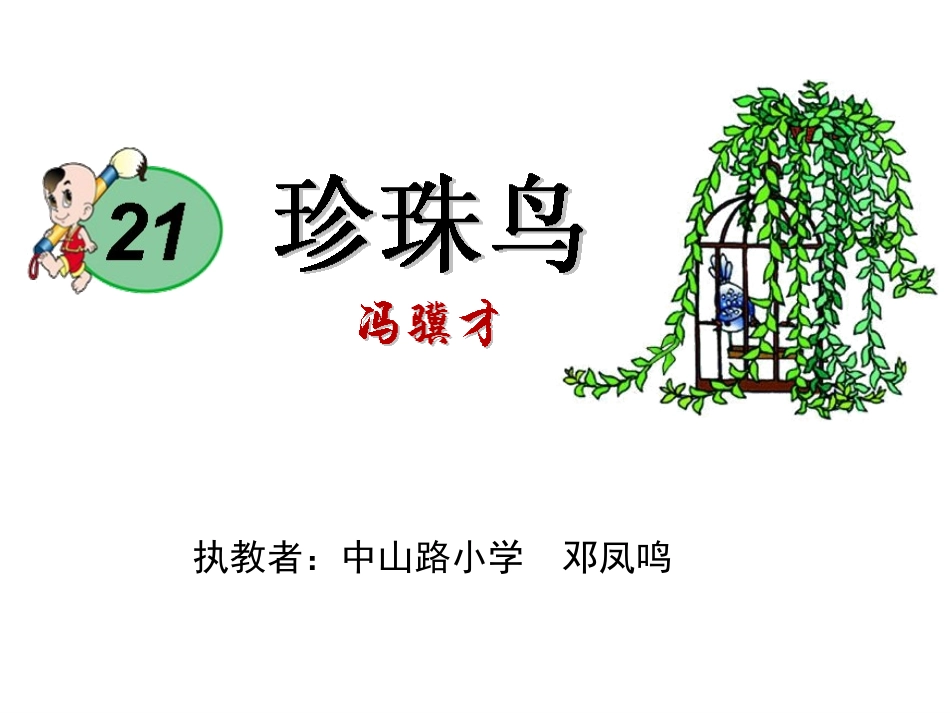 《珍珠鸟》课件——邓凤鸣_第1页