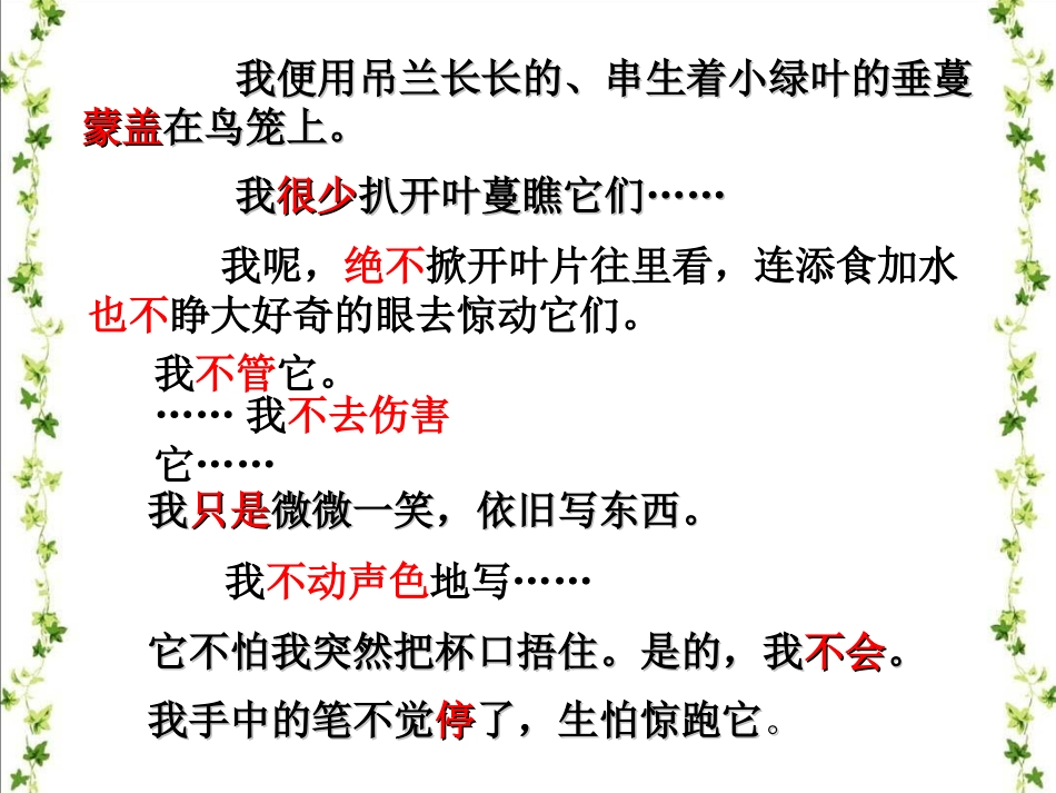 《珍珠鸟》课件——邓凤鸣_第3页