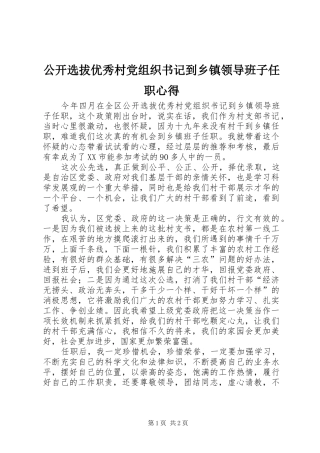 公开选拔优秀村党组织书记到乡镇领导班子任职心得